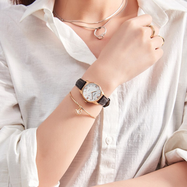 加分,機械,瑞表,腕間,精致