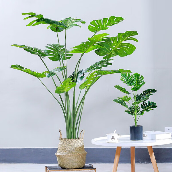 创意,生活,变成,花瓶,精致 创意,生活,变成,花瓶,精致