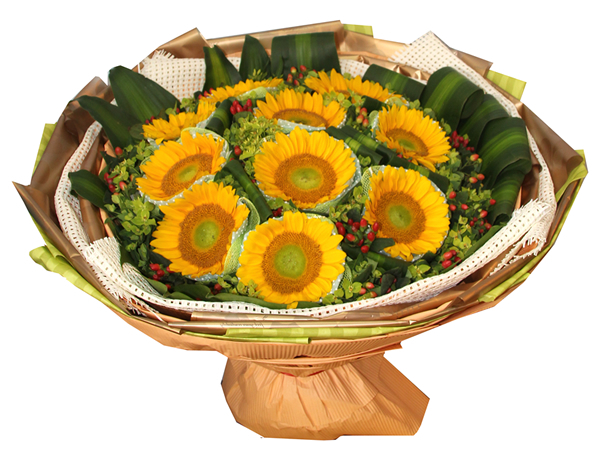 0枝向日葵 希望之光 祝福鲜花 父亲节送花 感恩