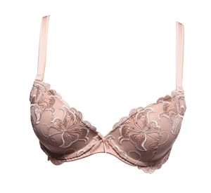 Gainreel歌瑞尔 <em>文胸</em>雪在烧时尚调整型聚拢深小