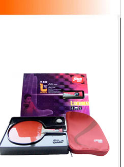 Чехол для ракетки DHS rainbow table tennis table 1000775633 TCH Чехол для ракетки DHS rainbow table tennis table 1000775633 TCH