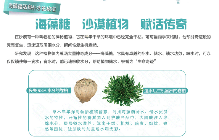 草木年华 海藻糖活泉补水霜(高度补水)45g