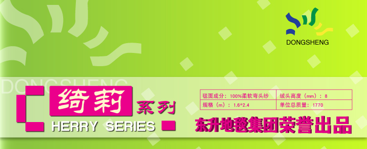 东升 绮丽160*230cm现代简约防滑新款客厅茶几卧室沙发地毯 RB6669IV 1600*2300MM