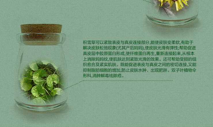 济颜本草蕲艾女士深层祛痘套装 针对囊肿型、