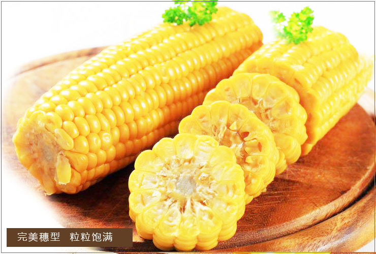     暂无    