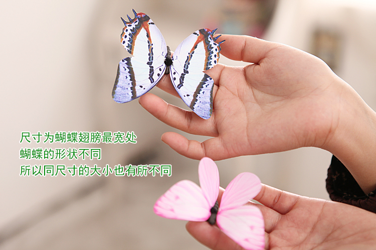 
                                        【畅宁】仿真蝴蝶 磁石 25种花色随机发送 仿真动物 家居装饰品 摆件 5只(小号=8*6厘米)                