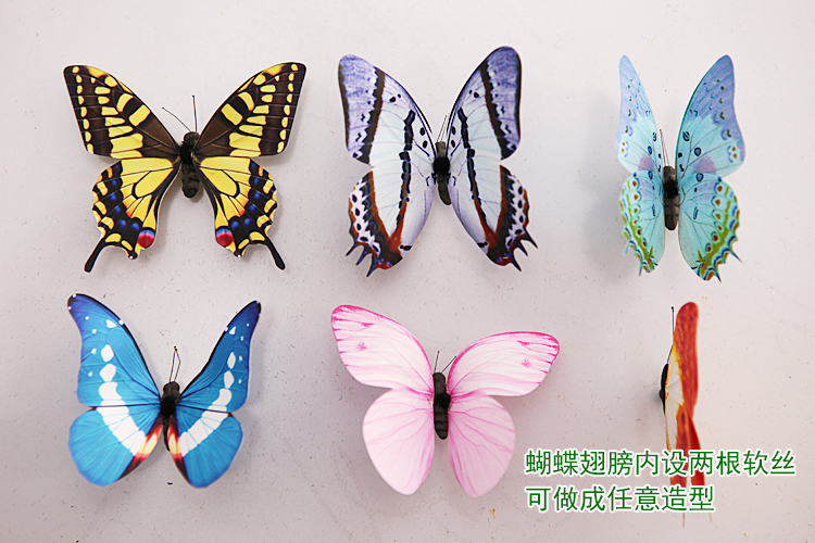 
                                        【畅宁】仿真蝴蝶 磁石 25种花色随机发送 仿真动物 家居装饰品 摆件 5只(小号=8*6厘米)                