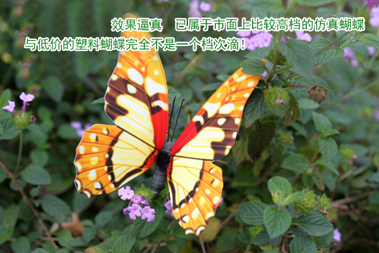 
                                        【畅宁】仿真蝴蝶 磁石 25种花色随机发送 仿真动物 家居装饰品 摆件 5只(小号=8*6厘米)                