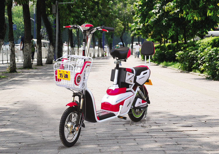 赛诺伊 赛站 轻便助力车自行车锂电48v10ah锂