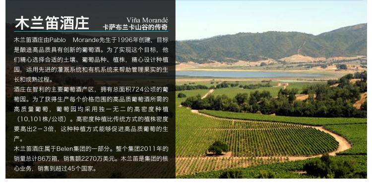 阿伦选·葡萄酒 48\/63 木兰笛酒庄赤霞珠珍藏干