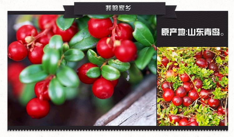 【美莓】蔓越莓干200G 价格\/【美莓】蔓越莓干