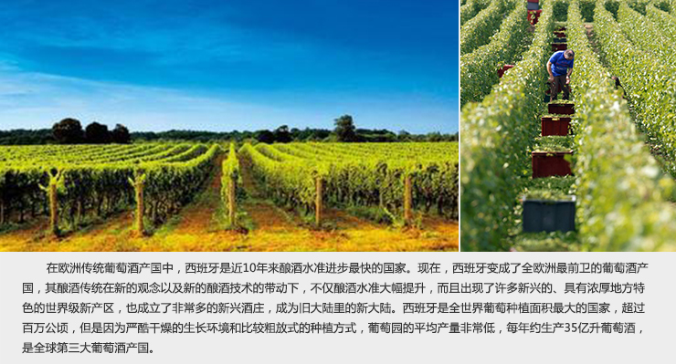 北纬37度 西班牙原瓶进口红酒德雷庄园精选红