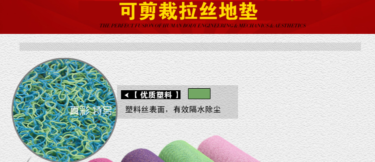 
                                        真彩 免洗可剪裁进门地垫塑料门垫入户进门垫家用丝圈防滑脚垫 玫红紫双色 40*60cm                