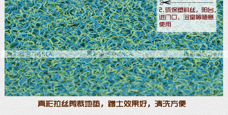 
                                        真彩 免洗可剪裁进门地垫塑料门垫入户进门垫家用丝圈防滑脚垫 玫红紫双色 40*60cm                