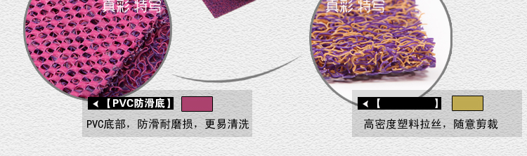 
                                        真彩 免洗可剪裁进门地垫塑料门垫入户进门垫家用丝圈防滑脚垫 玫红紫双色 40*60cm                