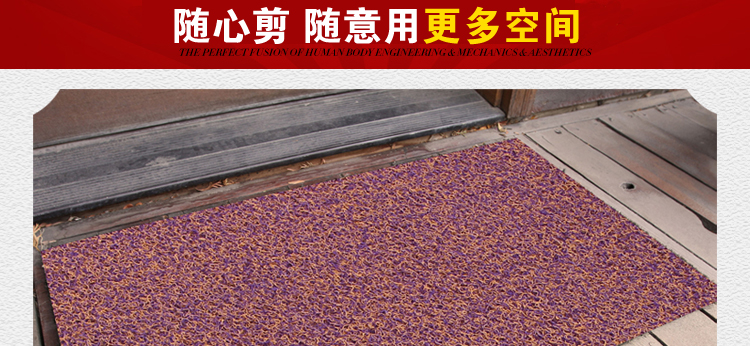 
                                        真彩 免洗可剪裁进门地垫塑料门垫入户进门垫家用丝圈防滑脚垫 玫红紫双色 40*60cm                