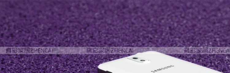 
                                        真彩 免洗可剪裁进门地垫塑料门垫入户进门垫家用丝圈防滑脚垫 玫红紫双色 40*60cm                