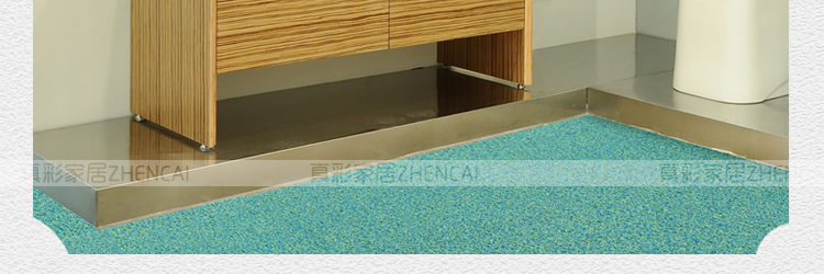 
                                        真彩 免洗可剪裁进门地垫塑料门垫入户进门垫家用丝圈防滑脚垫 玫红紫双色 40*60cm                