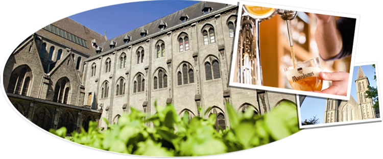 啤酒-比利时进口修道院啤酒马杜斯10号啤酒 M