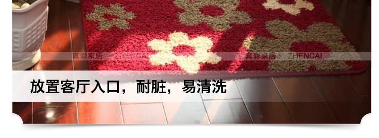 真彩 门垫入户地垫脚垫 弯头纱纤维门厅门口防滑脚踏蹭土垫 红绿2大花 60x90cm