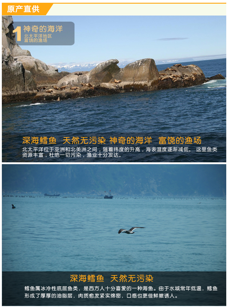 大连海鲜 喜福多 冷冻生鲜 太平洋真鳕鱼500克