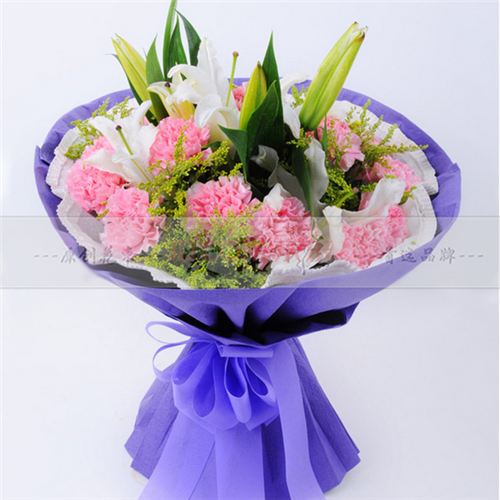 康乃馨鲜花快递上海北京大连青岛南京成都武汉