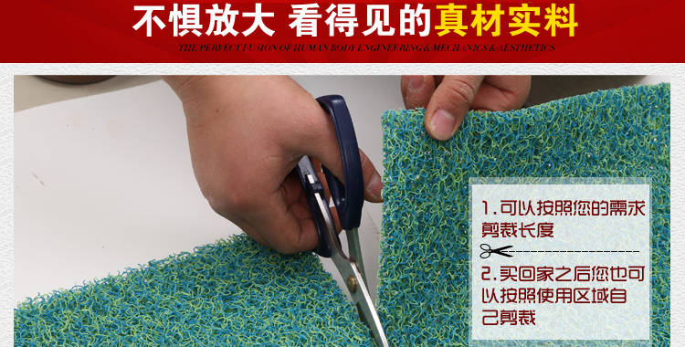 
                                        真彩 免洗可剪裁进门地垫塑料门垫入户进门垫家用丝圈防滑脚垫 玫红紫双色 40*60cm                