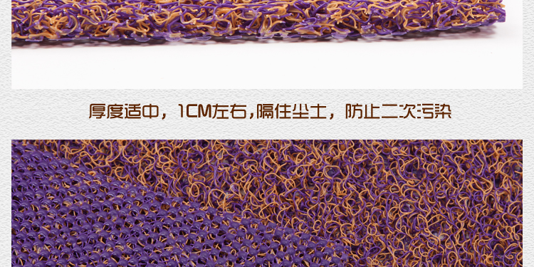 
                                        真彩 免洗可剪裁进门地垫塑料门垫入户进门垫家用丝圈防滑脚垫 玫红紫双色 40*60cm                