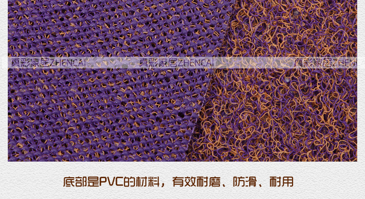 
                                        真彩 免洗可剪裁进门地垫塑料门垫入户进门垫家用丝圈防滑脚垫 玫红紫双色 40*60cm                