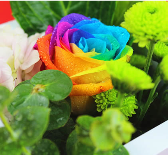 彩虹玫瑰花 荷兰进口七彩玫瑰花高端鲜花礼盒