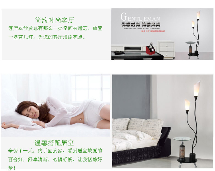梵帝登落地台灯立式钓鱼灯美式客厅落地灯卧室书房灯 黑色款 5W-白光-球泡LED