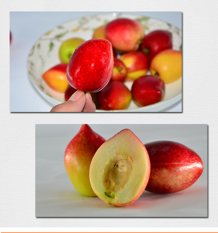 果360新鲜上市 大连油桃3斤 京津冀江浙沪皖包