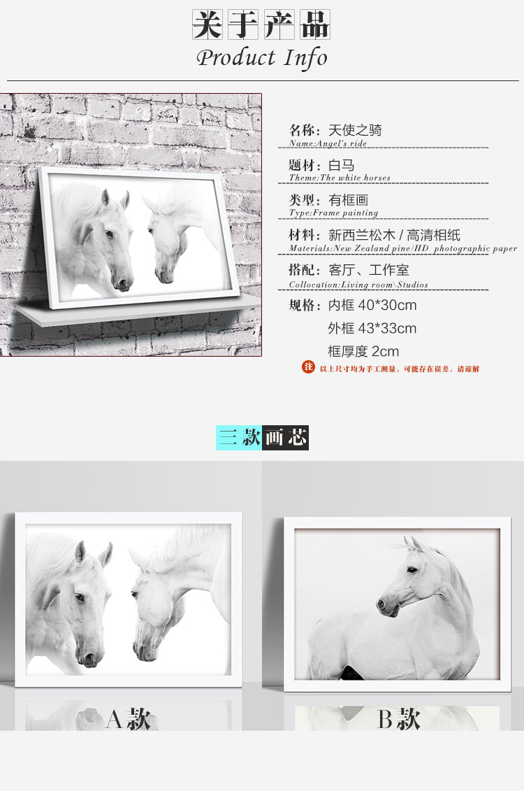 百易尚品客厅卧室书房走廊有框画装饰画壁画挂画 B款白框 30*40cm