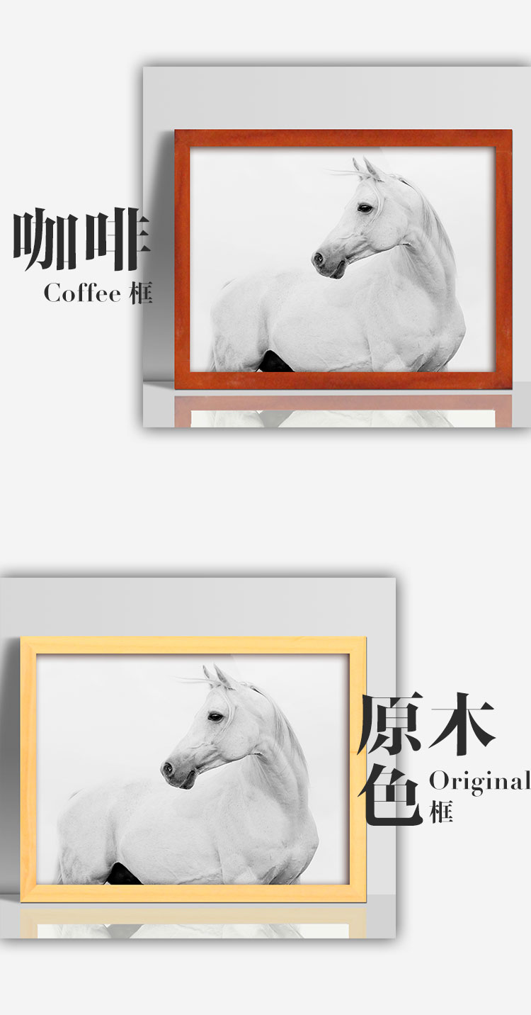 百易尚品客厅卧室书房走廊有框画装饰画壁画挂画 B款白框 30*40cm