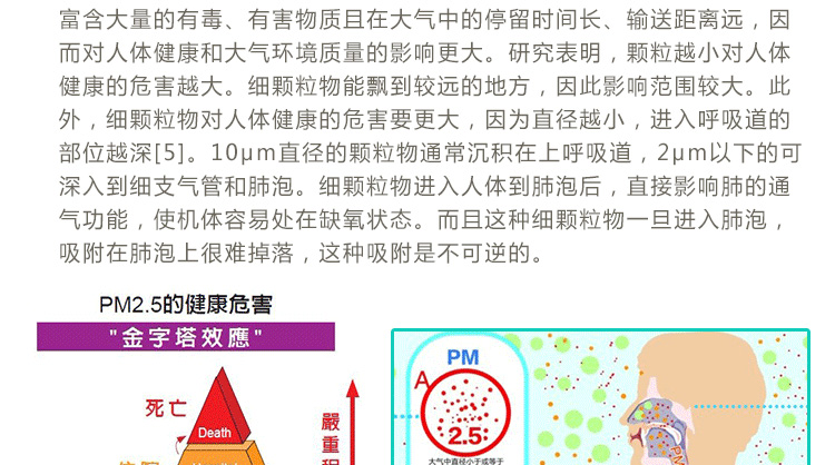 两只４９元 真正的眼镜防雾口罩三层立体弹力户外运动骑行畅通呼吸口罩防寒防尘口罩 PM2.5 两只玫红色 男女通用可调松紧