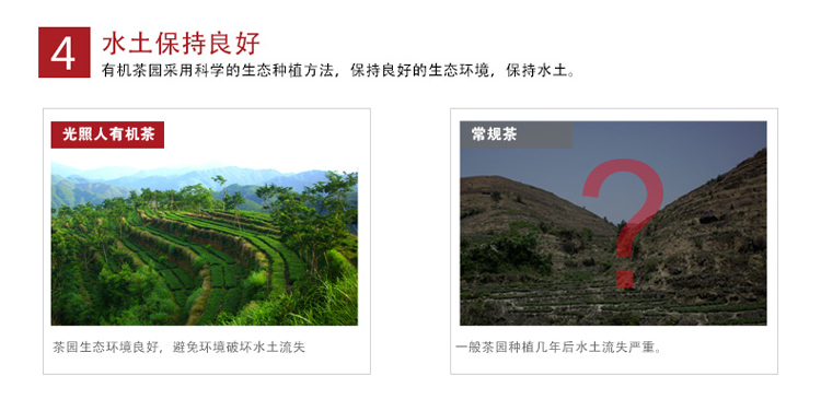 【礼盒装】光照人有机茶 清香型铁观音 高档精