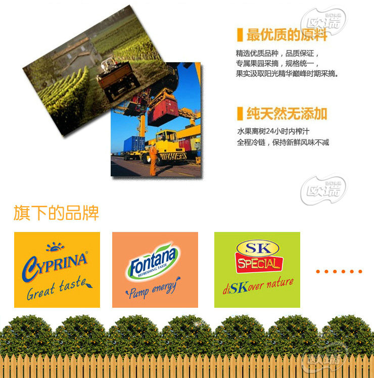 塞浦路斯 SK牌 菠萝汁 1L【价格 参数 导购 评价