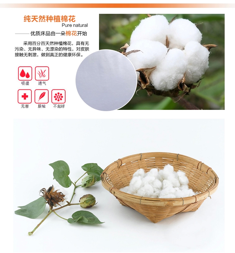 北极绒家纺 纯棉可水洗枕芯单人枕头 五星级酒店枕 高枕23cm