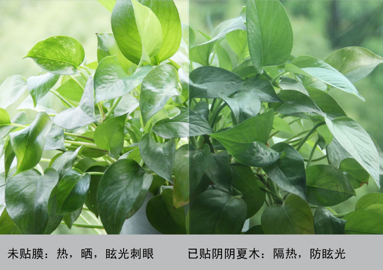 正奥ZEAL玻璃贴膜 窗膜防晒膜太阳膜 卧室客厅阳台窗户贴膜 阳台玻璃贴膜 遮光玻璃膜 黎明灰 1米宽/米