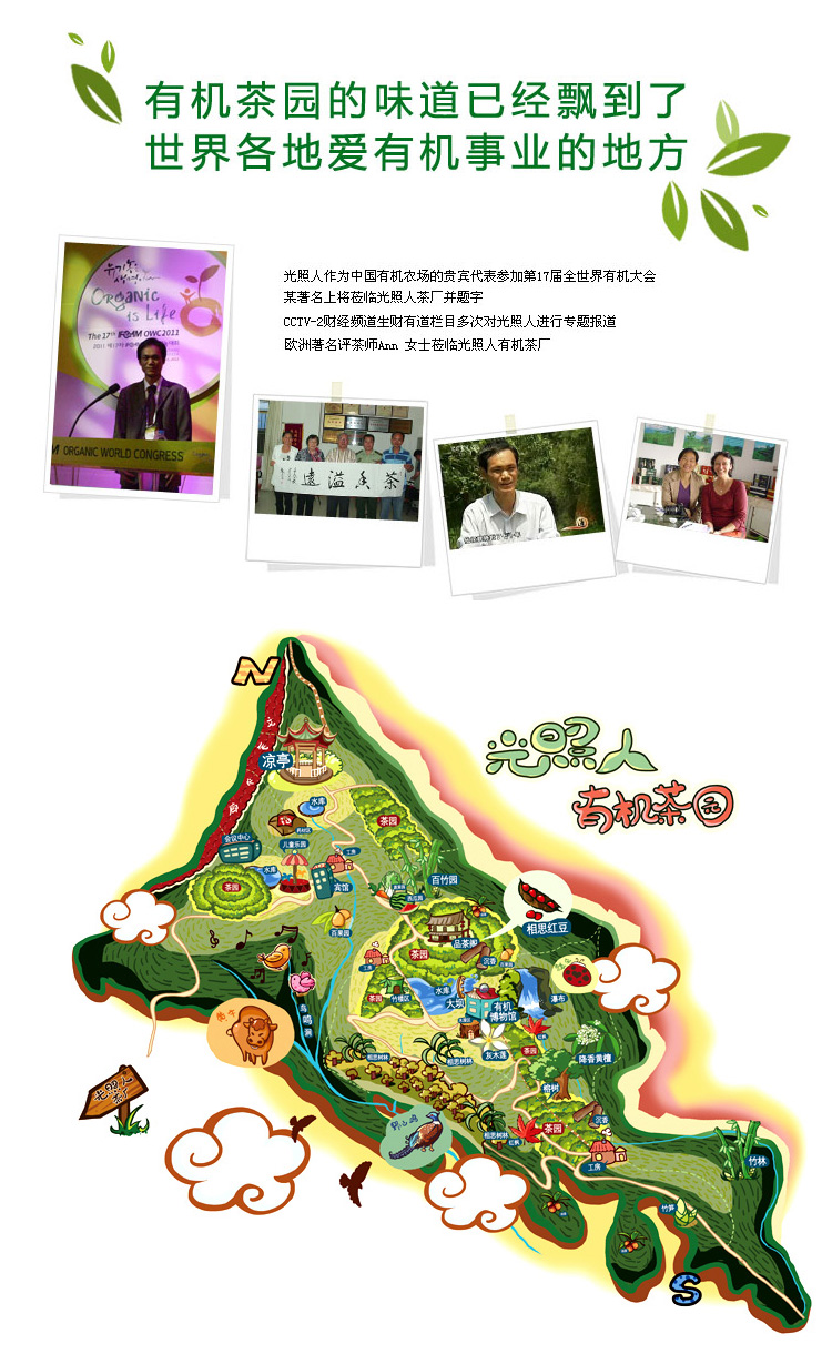 光照人有机茶 茶叶 清香型铁观音2980 小PVC