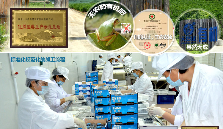 成 经典蓝莓果干 70g每罐 传统型 便携 <em>口袋装</em> 