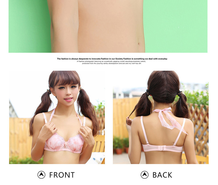 浪漫春天性感<em>挂脖文胸</em> 可爱少女内衣 收副乳小