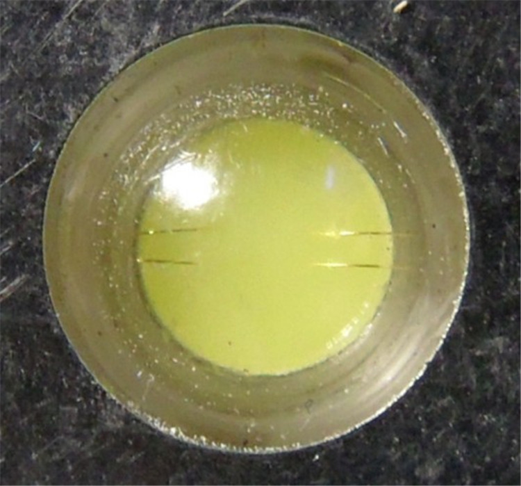 D灯 内置电动车大灯LED灯泡S2电动车灯泡BA20D双爪头直径20mm 12V CREE芯片白聚光镜面 5W