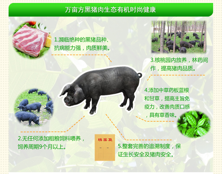 河北馆 保定特产 生态散养黑猪 土柴猪 猪肉特级