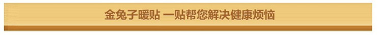 TO-PLAN 金兔子大码暖贴暖宝宝热帖热宝14小时 10片装