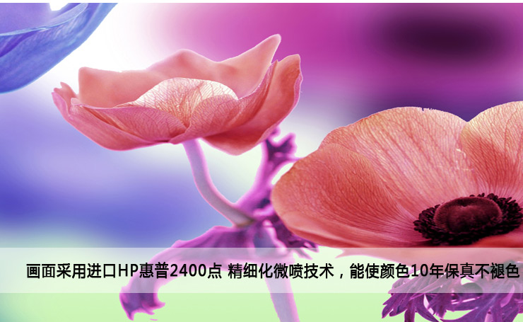 
                                        优柯 装饰画现代简约壁画欧式无框画客厅卧室床头咖啡厅酒吧挂画 紫色格桑花三幅 9mm60*60cm(1套)                