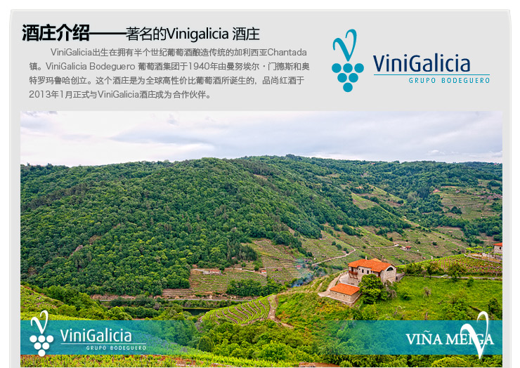 新鲜好入口 西班牙维拉美伽干红葡萄酒 拉曼恰