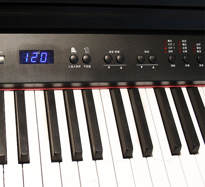 AMASON艾茉森电钢琴AP-205 意大利原装配件