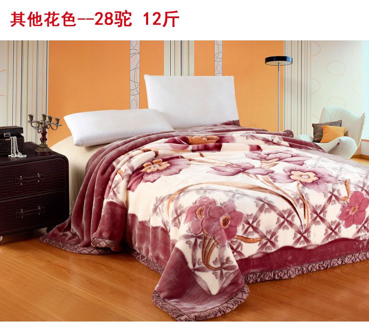 
                                        卡缦家纺  双层拉舍尔毛毯 双人 200*240cm 12斤 238红豆沙 12斤加厚型 200*240cm                