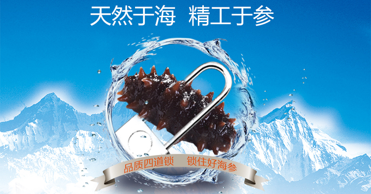 海参礼盒价格_金鲁源海参礼盒价格_精品海参